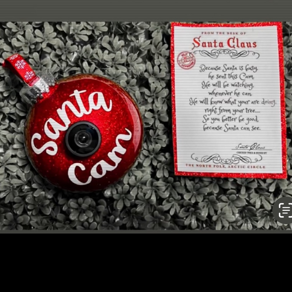 Santa Cams!🎅🏽 Hand made item.Shipping and local pick up